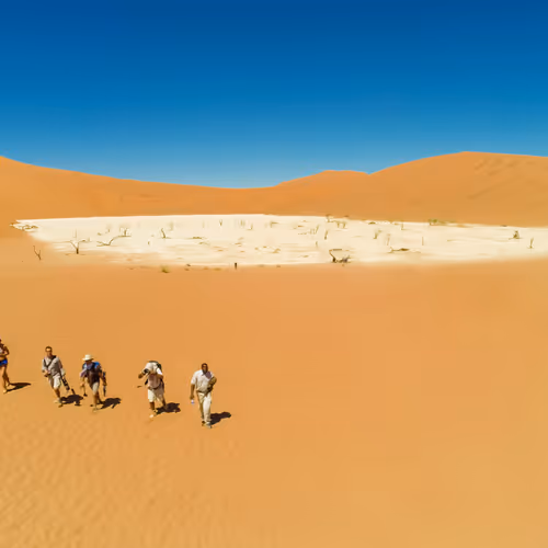 Leaving the Deadvlei #0359