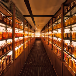 Whisky Room! #0224