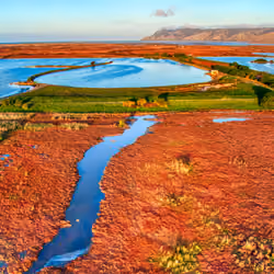 The Red Fields of Blenheim #0519