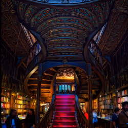 The Harry Potter Bookstore in Porto #0990