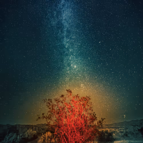 The Milky Way Over the Burning Bush #0118