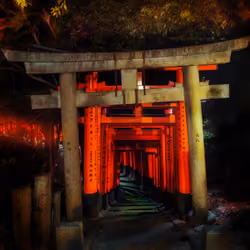 Entering the Japanese Cemetery #0208