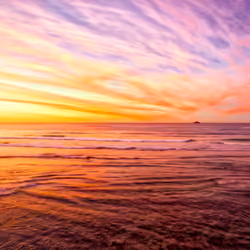The Painted Sky of Dunedin #0182