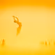 The Lady of the Sands #0887