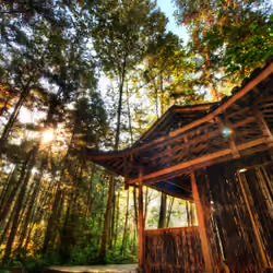 The Silent Temple of Zhangjiajie #0987