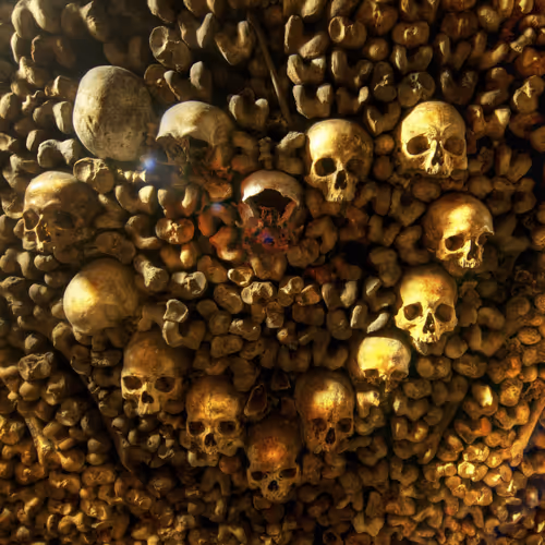 Heart of Skulls #0863