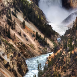 The Falls of Yellowstone #0874
