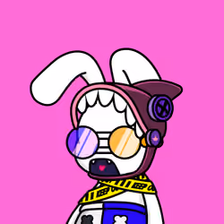 BEBO #1488