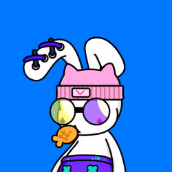 BEBO #1036