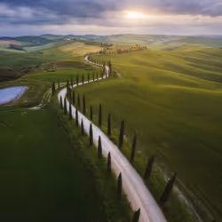 Road to the Sun (Spring Act)