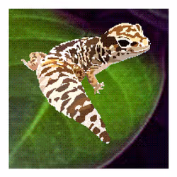 AfterAcidAnimals #501