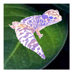 AfterAcidAnimals #525