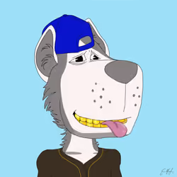 DAWG #979