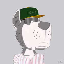 DAWG #1592