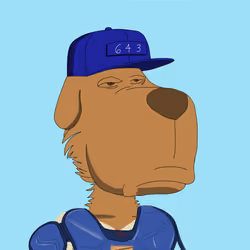 DAWG #1582