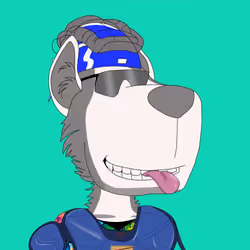 DAWG #554