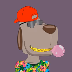 DAWG #572