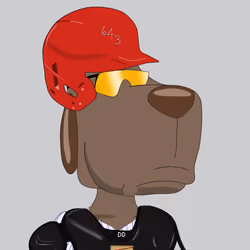 DAWG #897