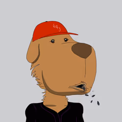 DAWG #2204