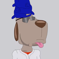 DAWG #1581