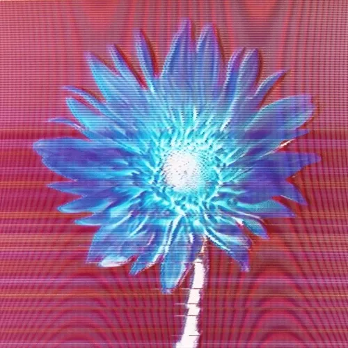 The Flowers Project V2