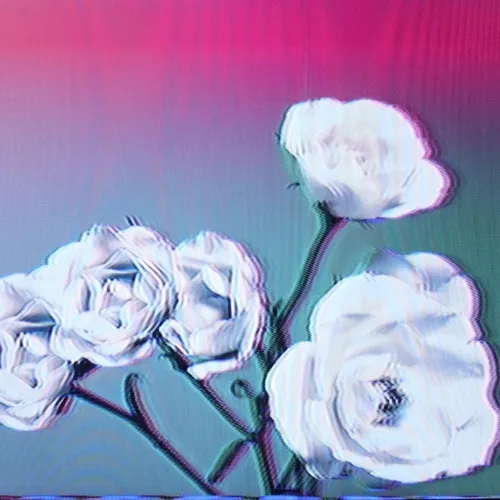 Flower #18
