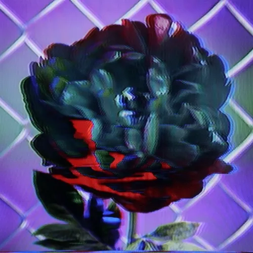 Flower #30