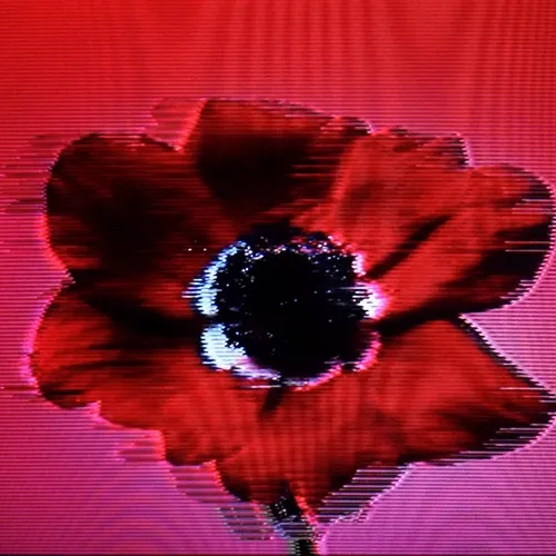 Flower #01