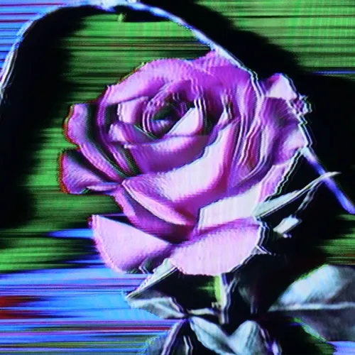 The Flowers Project V2