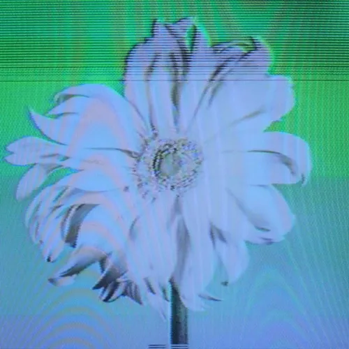 Flower #38