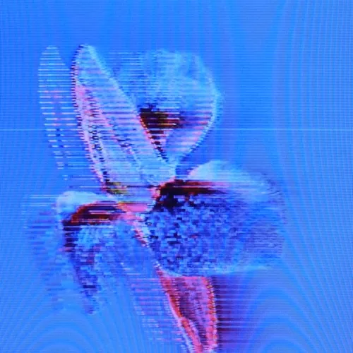 The Flowers Project V2