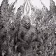 "ATMA" The Demon Priest