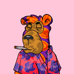 Buzzed Bear #646