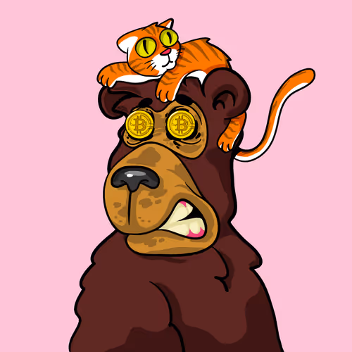 Buzzed Bear #9439