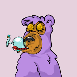 Buzzed Bear #5373