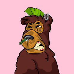 Buzzed Bear #422