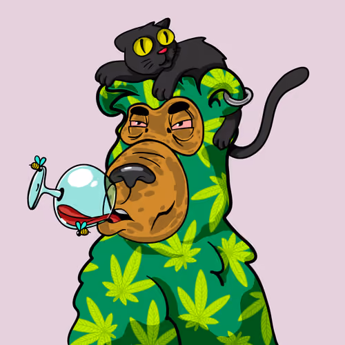 Buzzed Bear #6841