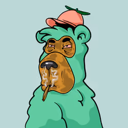 Buzzed Bear #9437