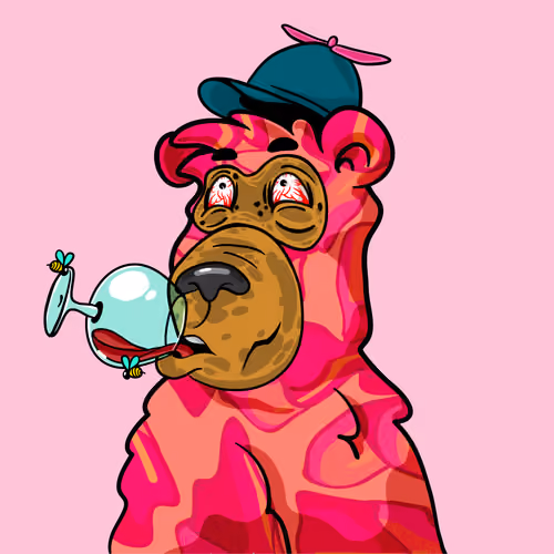 Buzzed Bear #9285