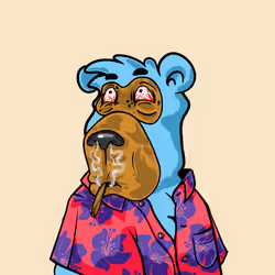 Buzzed Bear #4909