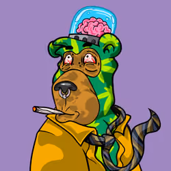 Buzzed Bear #1171