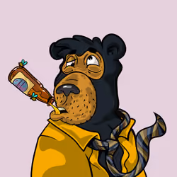 Buzzed Bear #4864