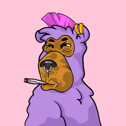 Buzzed Bear #1686
