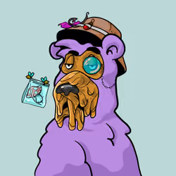 Buzzed Bear #6336