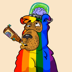 Buzzed Bear #664