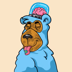 Buzzed Bear #2184