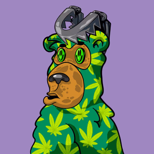 Buzzed Bear #9963