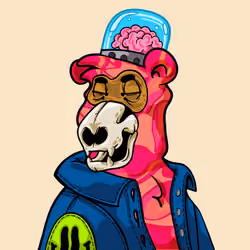 Buzzed Bear #2764