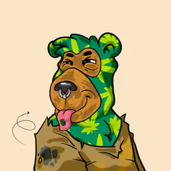 Buzzed Bear #6512