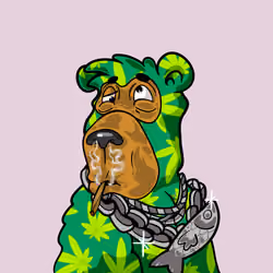 Buzzed Bear #5965